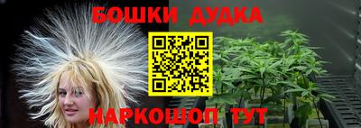 ECSTASY Новозыбков