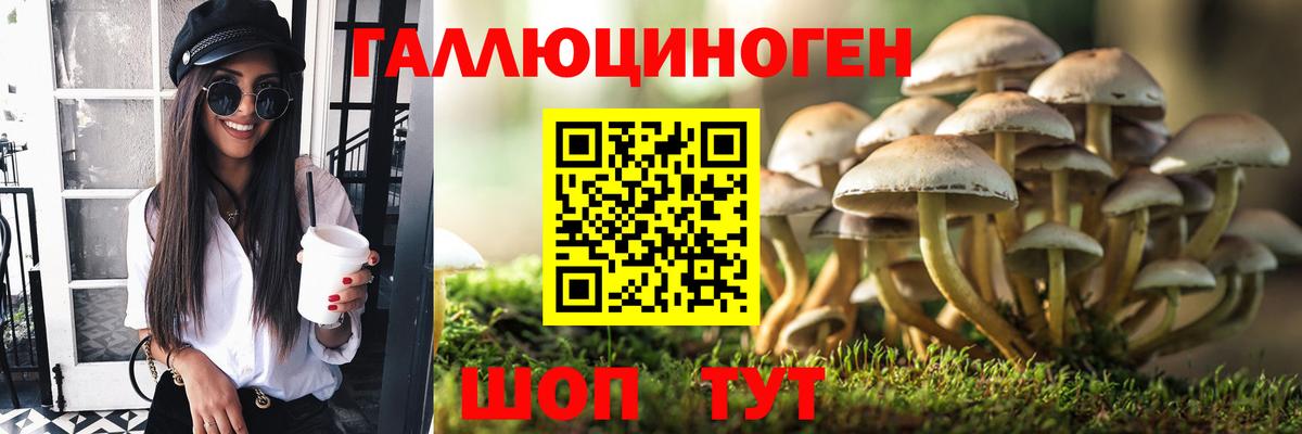 Псилоцибиновые грибы мухоморы Азнакаево